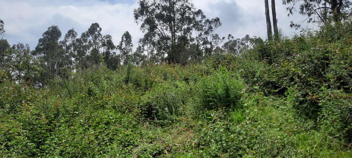 Vendo Lindos Terrenos de 5367 m y 6367 m con Excelente Vista en Pifo — imagen 5