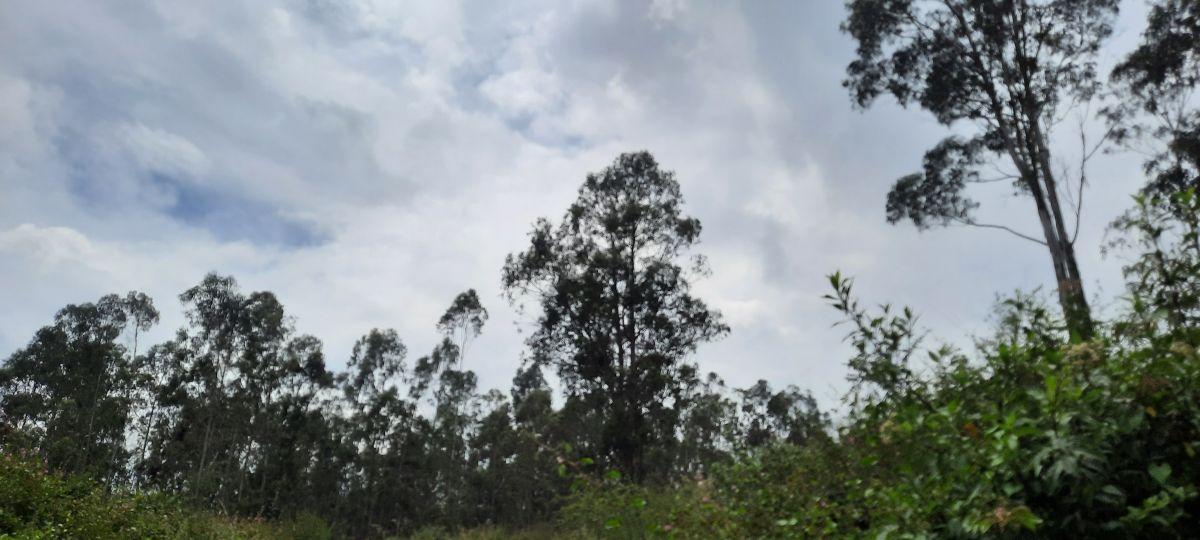 Vendo Lindos Terrenos de 5367 m y 6367 m con Excelente Vista en Pifo — imagen 4