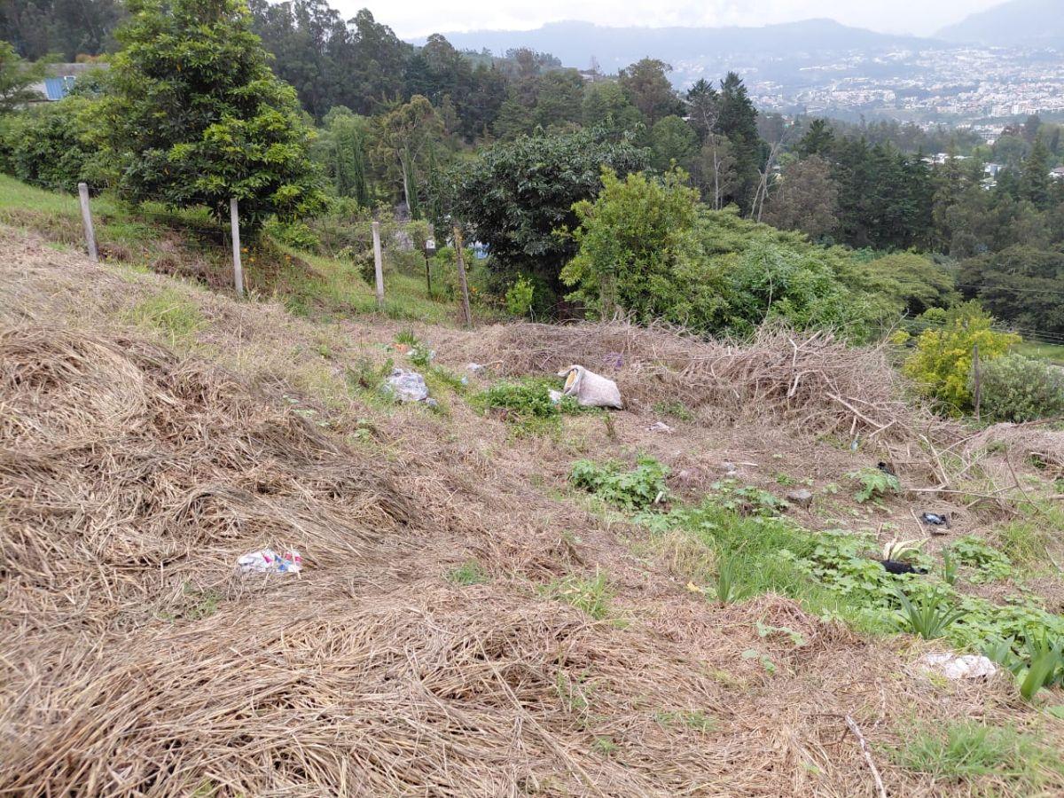 Terreno en Venta en Tumbaco Sector Comuna Central 680 m² con Escritura — imagen 5