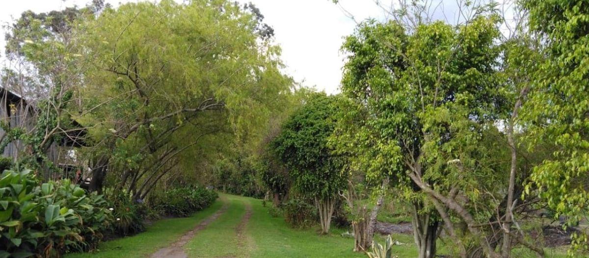Hermoso Terreno Entre Puembo y Pifo — imagen 4