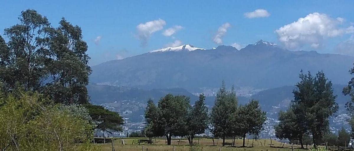 Hermoso Terreno Entre Puembo y Pifo — imagen 3