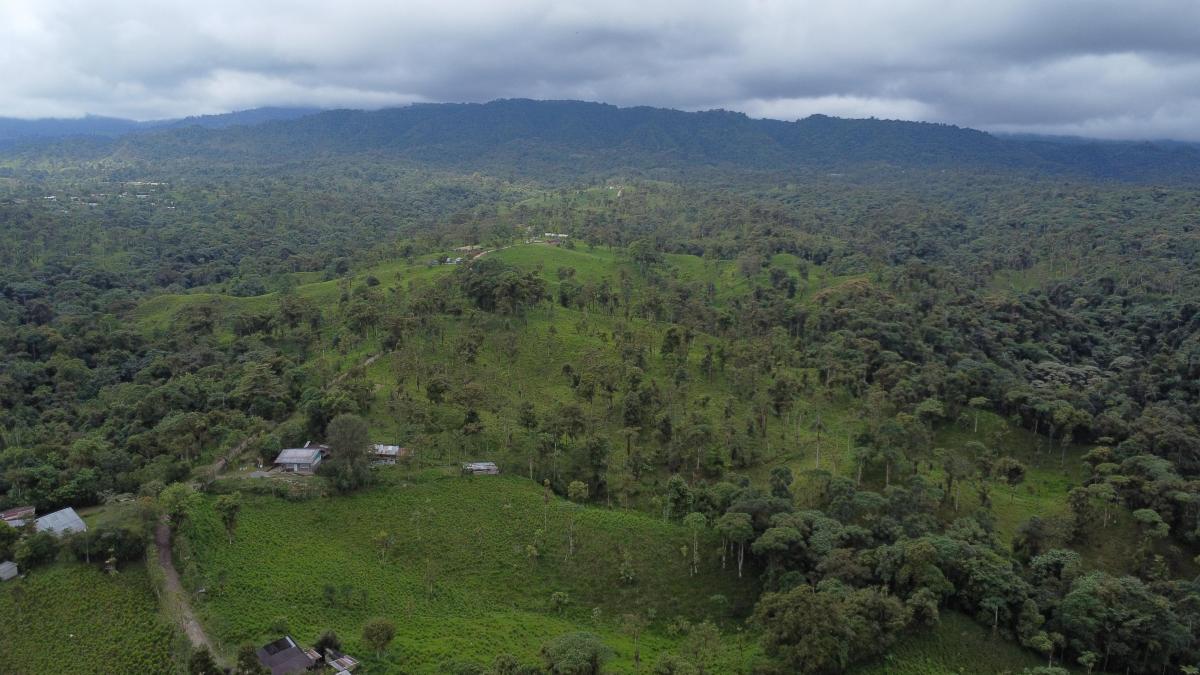 Finca Ganadera de Venta en Los Bancos — imagen 4