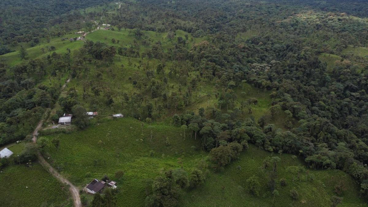 Finca Ganadera de Venta en Los Bancos — imagen 3