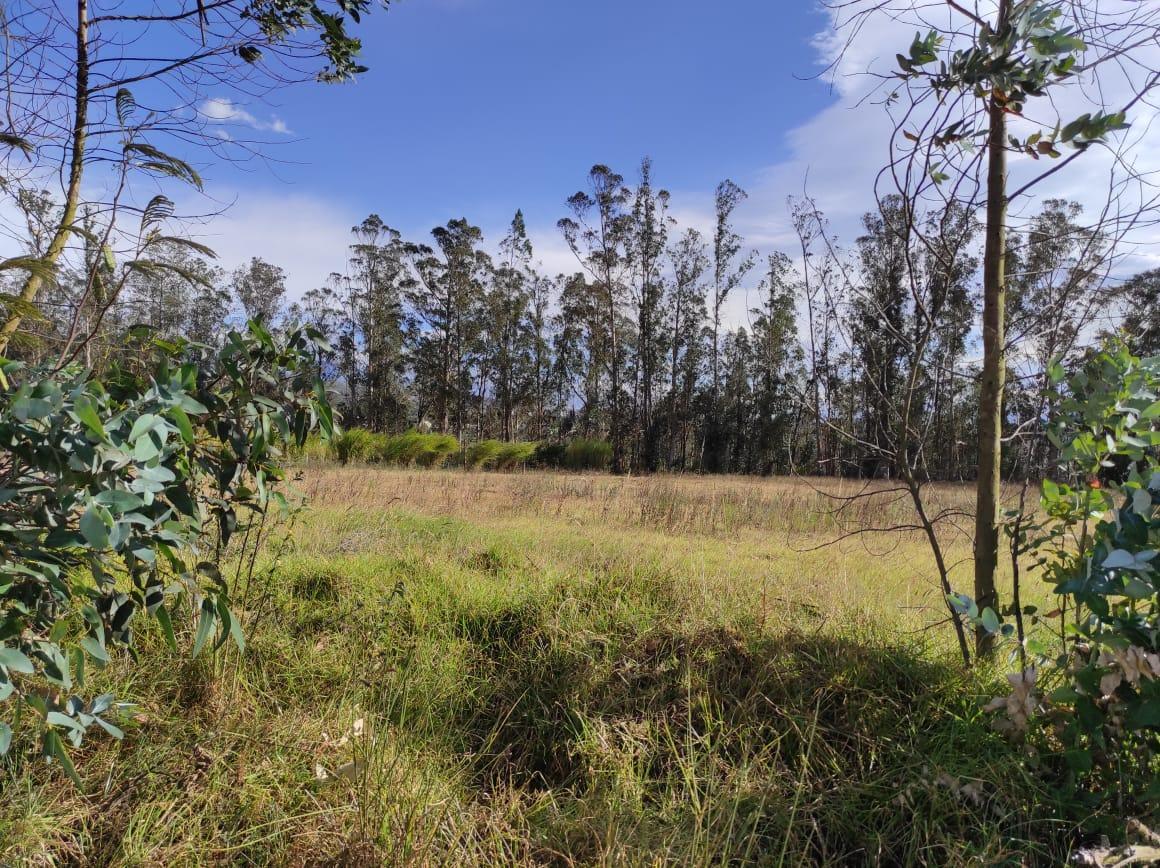 Lote Terreno de Venta a 10 Minutos de Guayllabamba, 2.5 Hectáreas — imagen 5