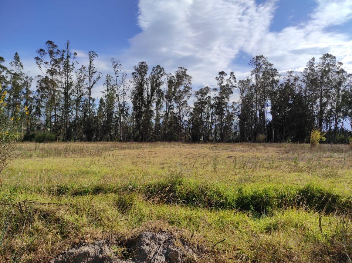 Lote Terreno de Venta a 10 Minutos de Guayllabamba, 2.5 Hectáreas — imagen 4