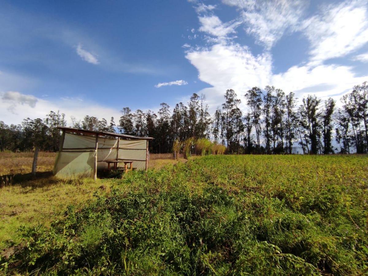 Lote Terreno de Venta a 10 Minutos de Guayllabamba, 2.5 Hectáreas — imagen 3
