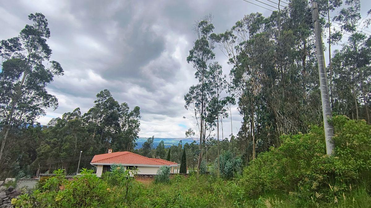 Oportunidad Única – Terreno en Sector Conocoto — imagen 5