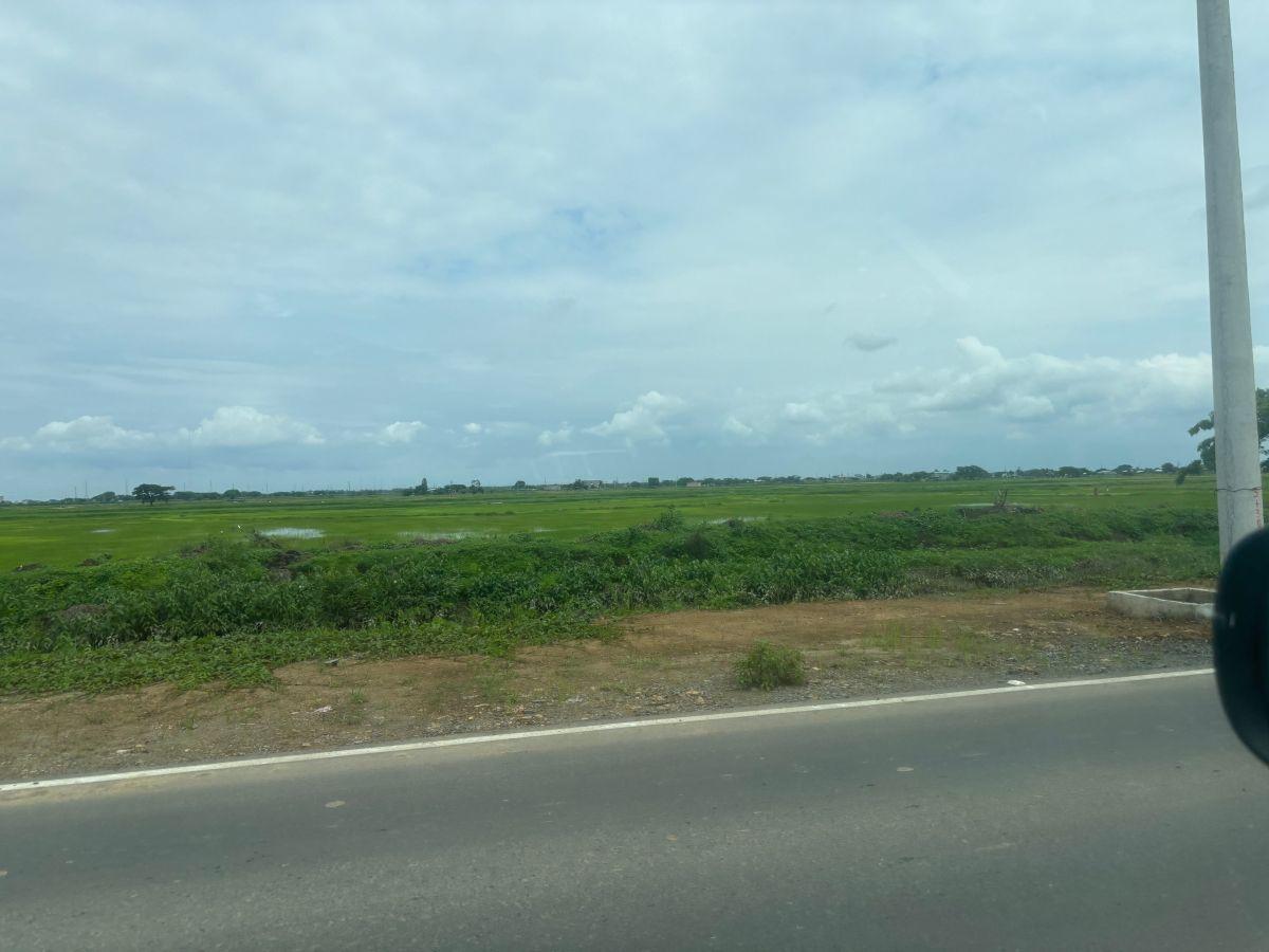 Vendo Nuevo Samborondon Desde 2 Hectáreas Industrial Bajo Impacto - Comercial Ave Ronald Sonne, Guayas — imagen 5