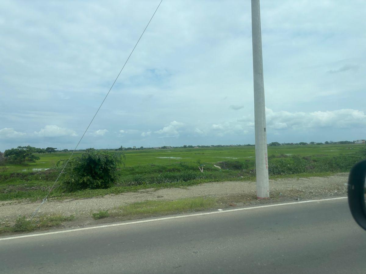 Vendo Nuevo Samborondon Desde 2 Hectáreas Industrial Bajo Impacto - Comercial Ave Ronald Sonne, Guayas — imagen 3