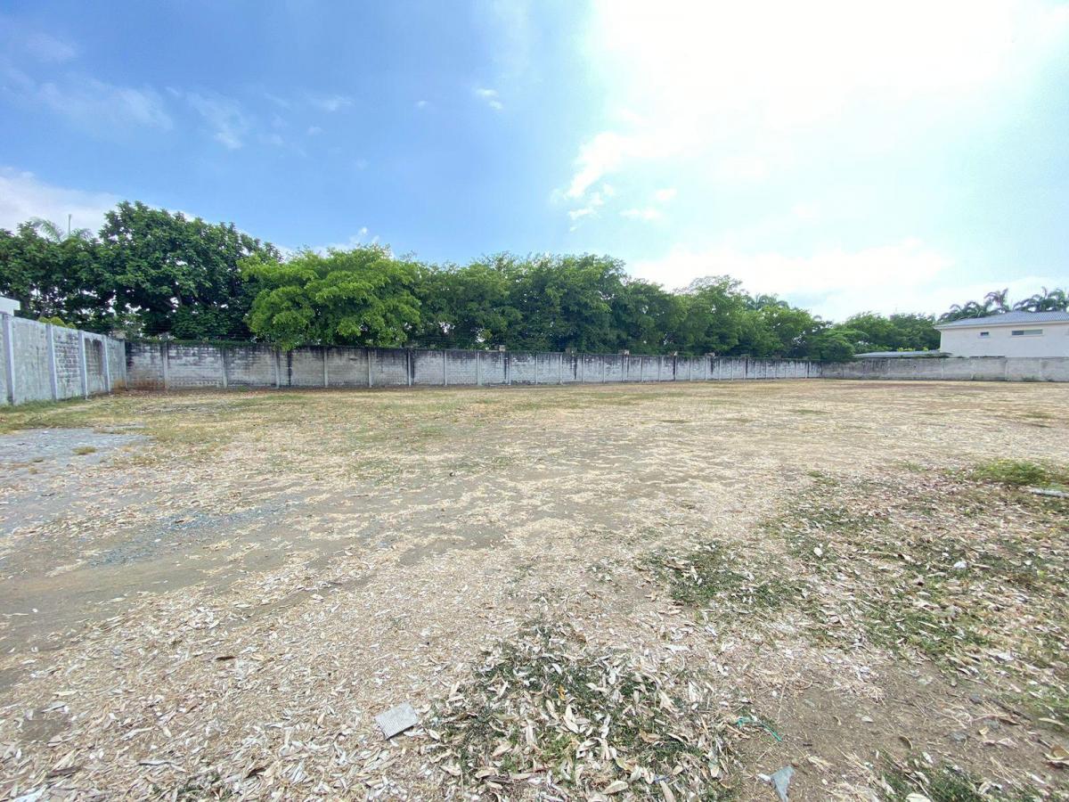 Terreno en Venta en Isla Mocoli, Samborondon, Guayas — imagen 4