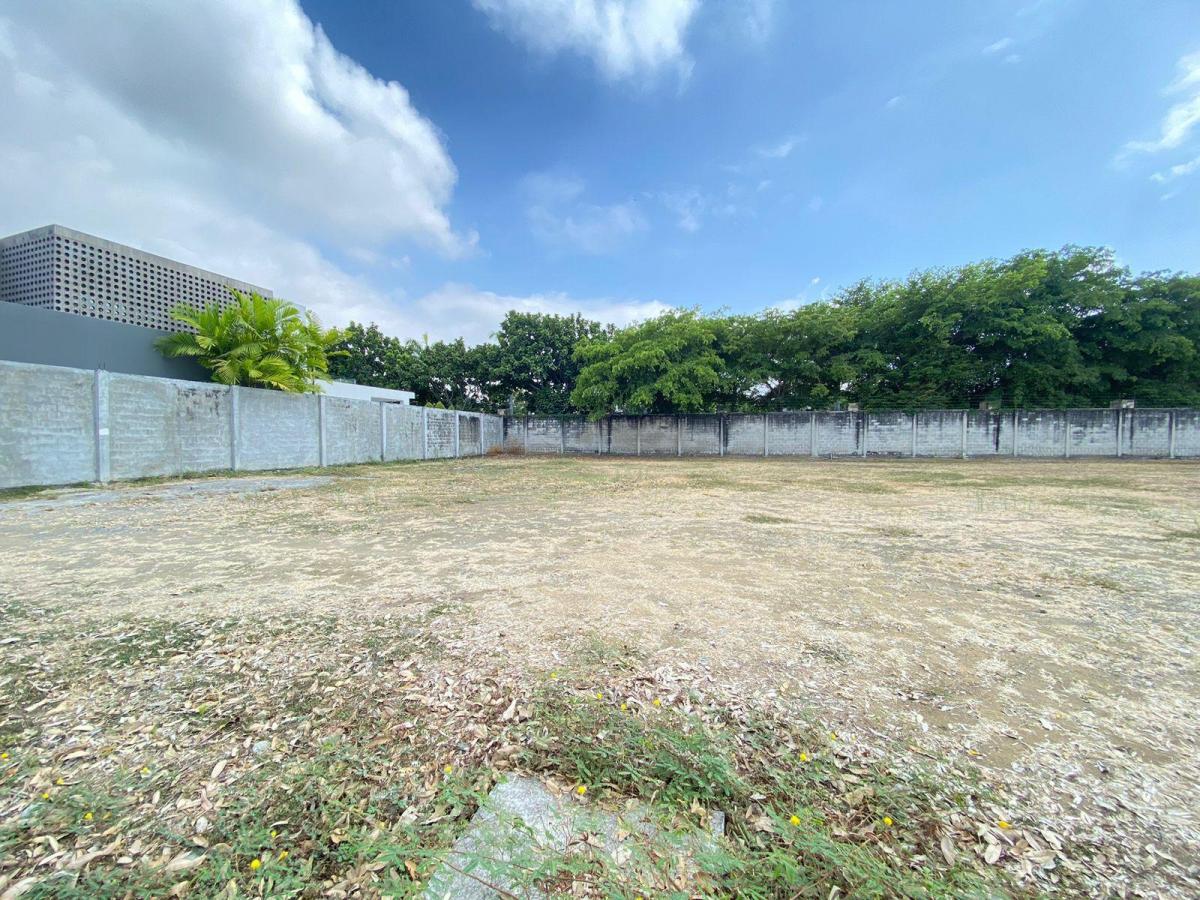 Terreno en Venta en Isla Mocoli, Samborondon, Guayas — imagen 3