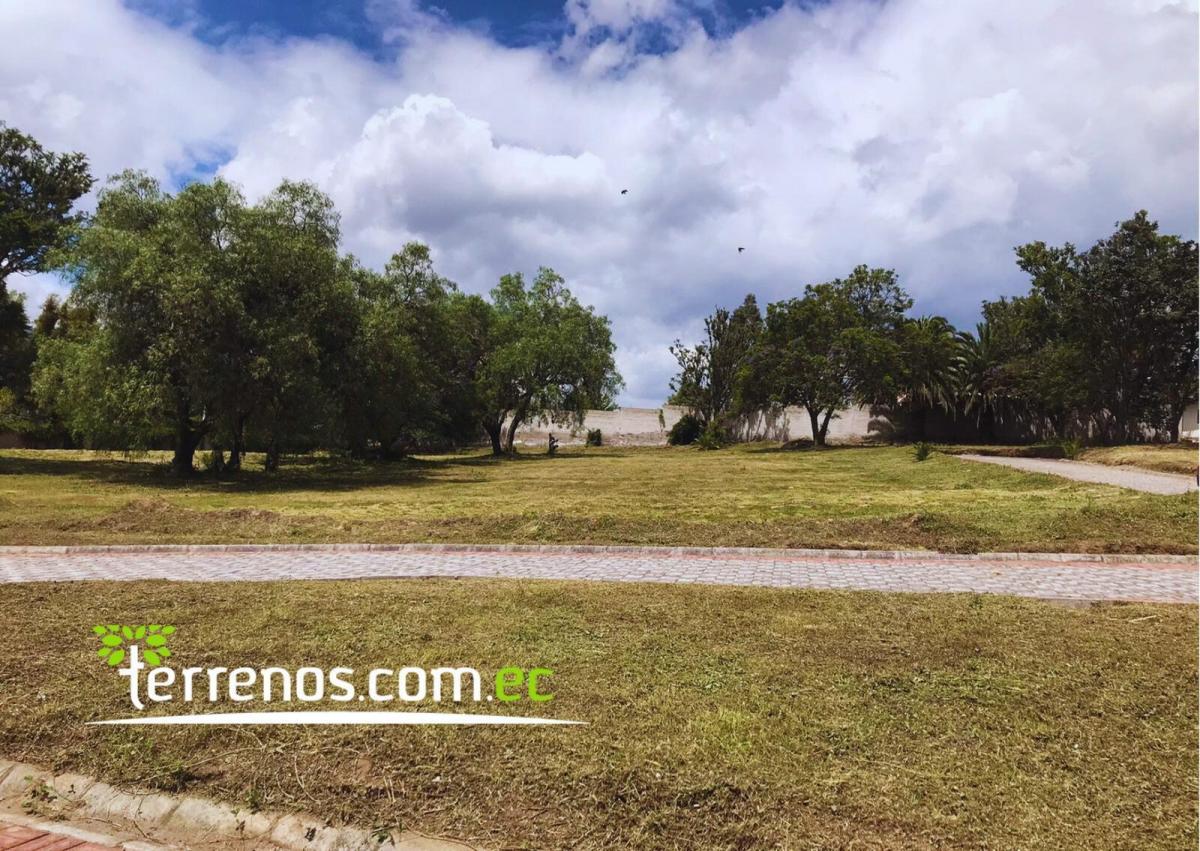 Terrenos de Venta en Puembo Desde 606 m² Hasta 1065 m², Conjunto Alcobendas — imagen 3