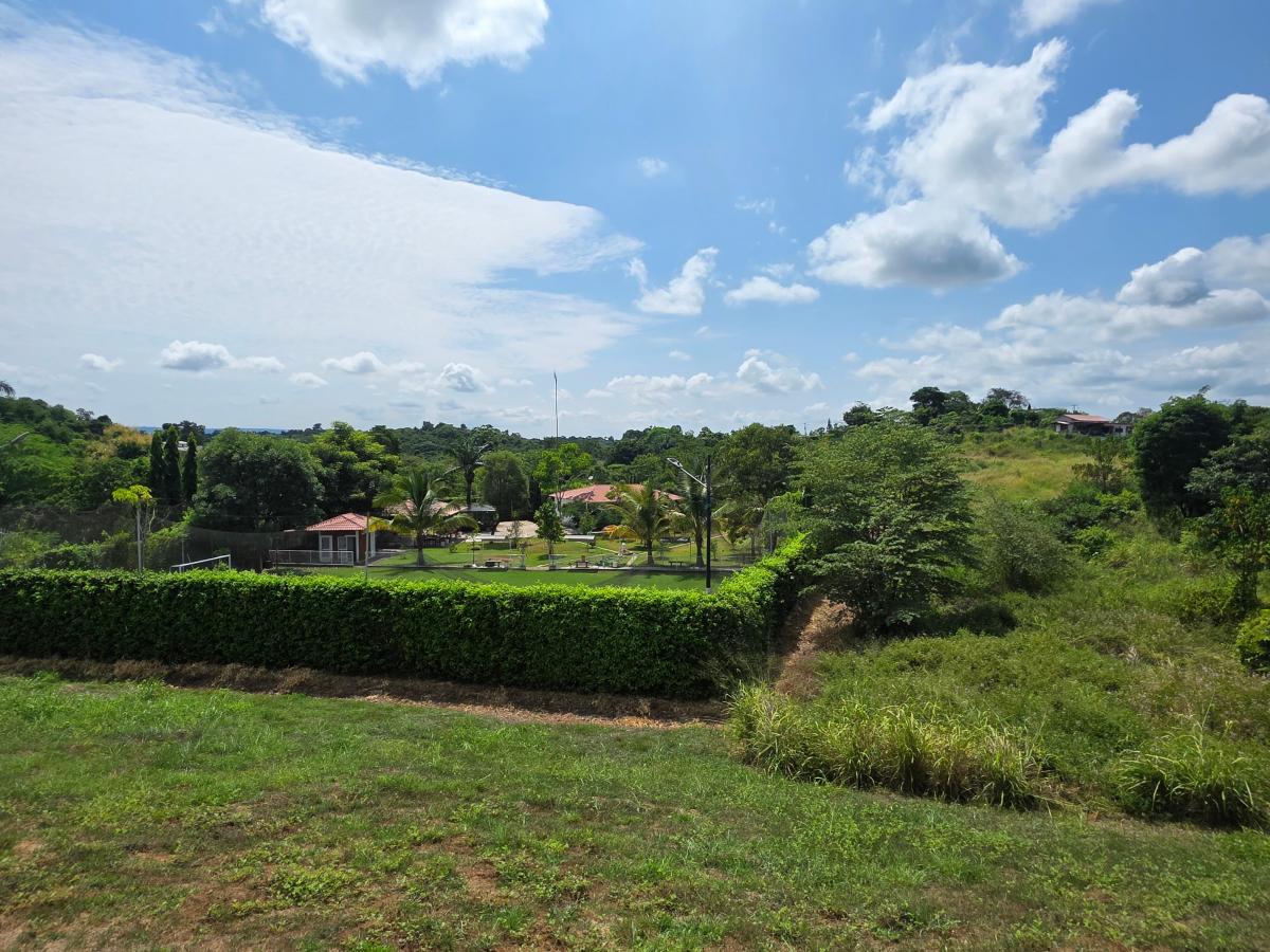 Vendo Terrenos en Via a La Costa, Lomas del Bosque, Urbanización con Guardiania 24/7, Km. 32.5, Guayas — imagen 5
