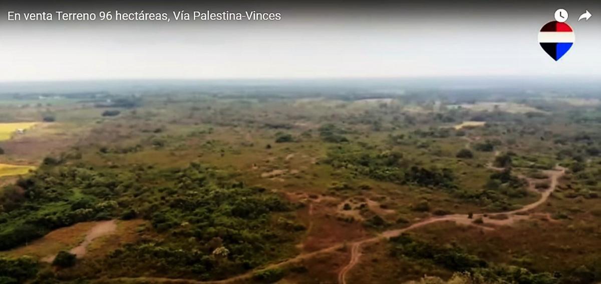 En Venta Terreno 96 Hectáreas, Vía Palestina - Vinces - J. Zavala, Guayas — imagen 5