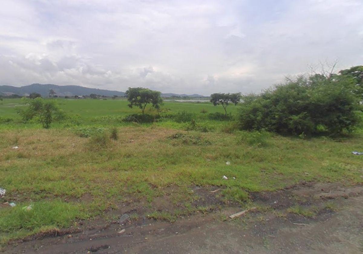 Venta Terreno 10.63 Has Via Salitre Km 11.5 de Uso Com. – Habit. Guayas — imagen 3