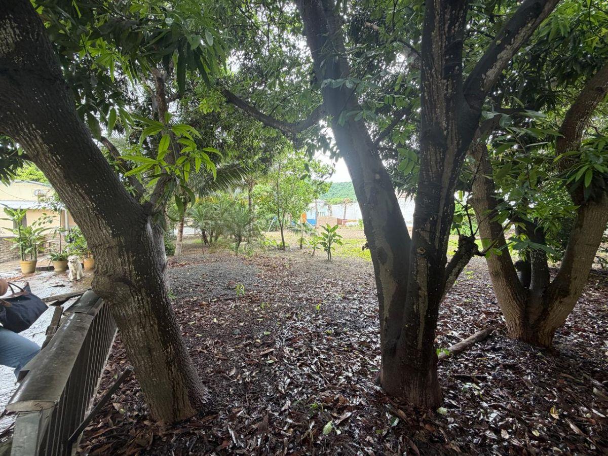Venta de Terreno en Av Principal / Bahía de Caráquez - Manabí - J. Delgado, Manabí — imagen 5
