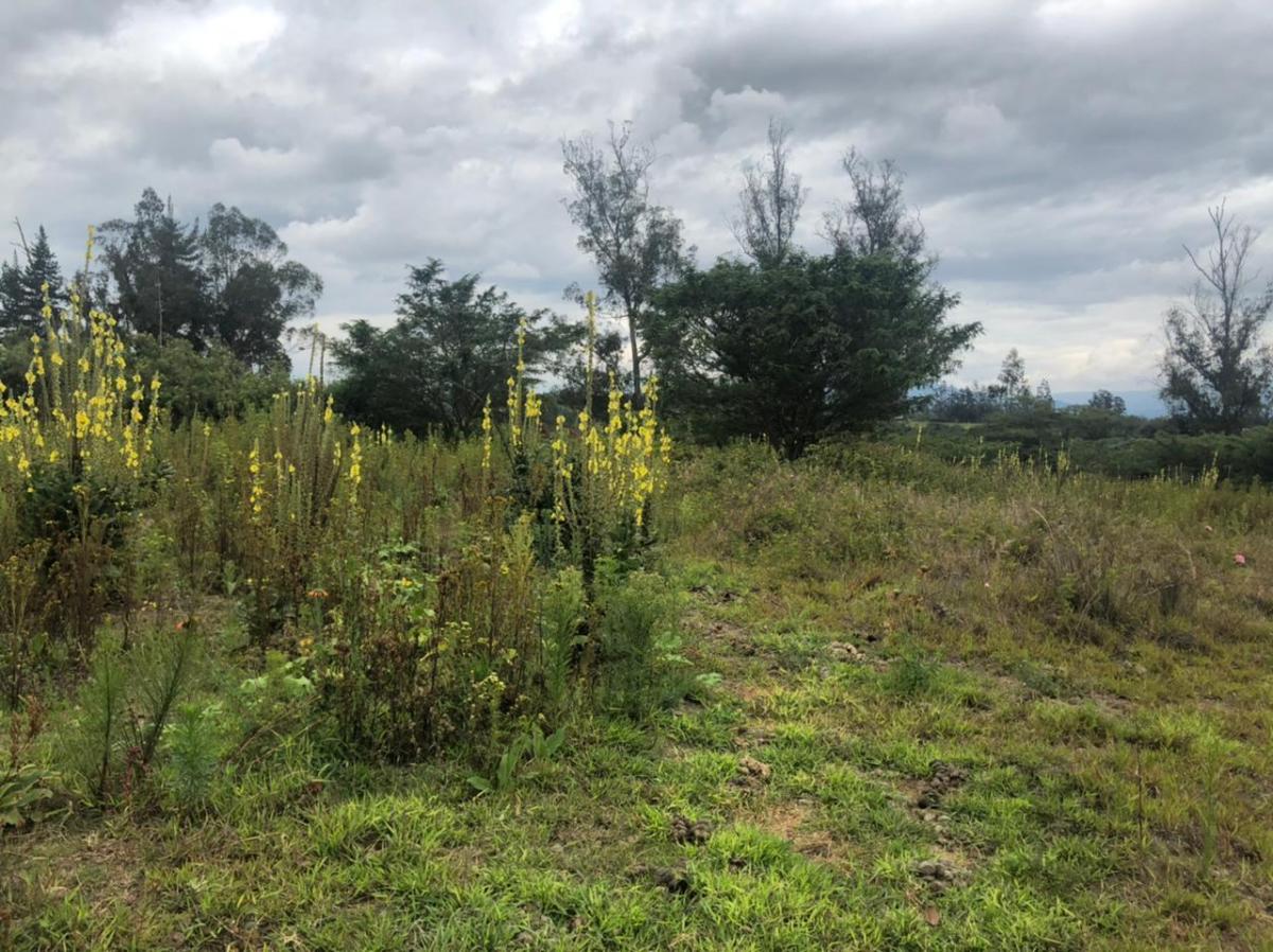 Terreno en Venta 24.405 m² en Checa — imagen 5