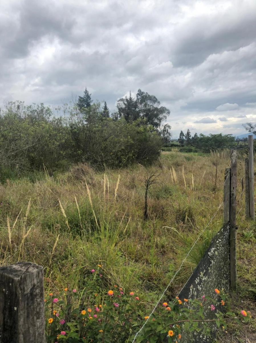 Terreno en Venta 24.405 m² en Checa — imagen 3