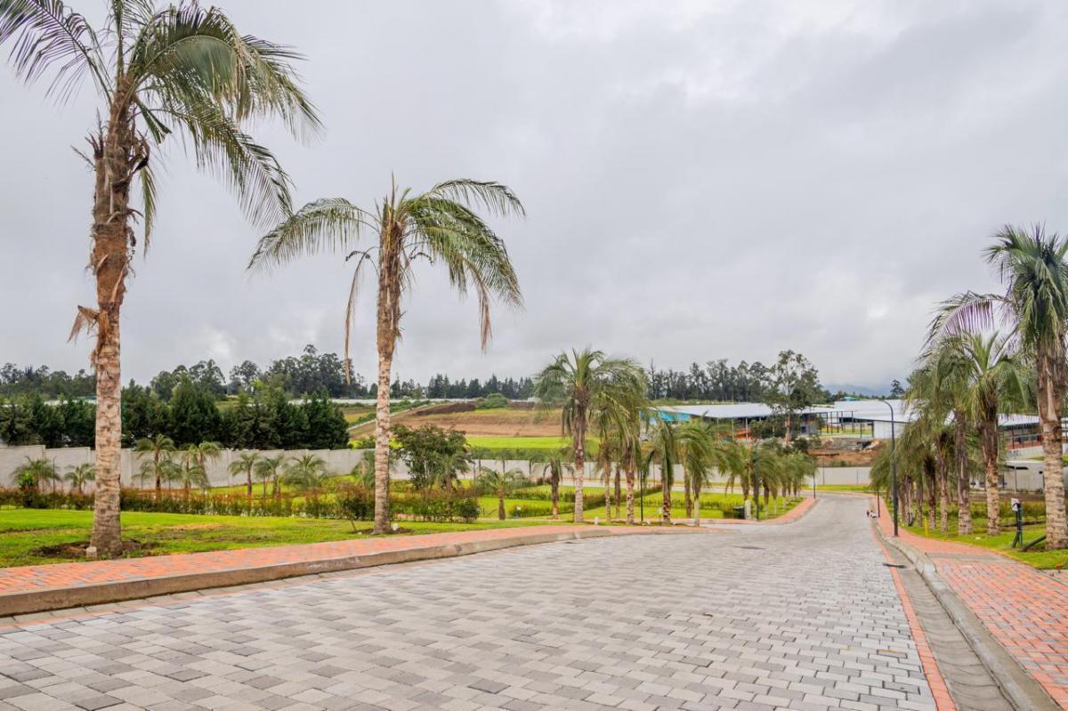 Terreno de 544 m en Espectacular Urbanización. Excelente Ubicación Puembo Pr — imagen 4