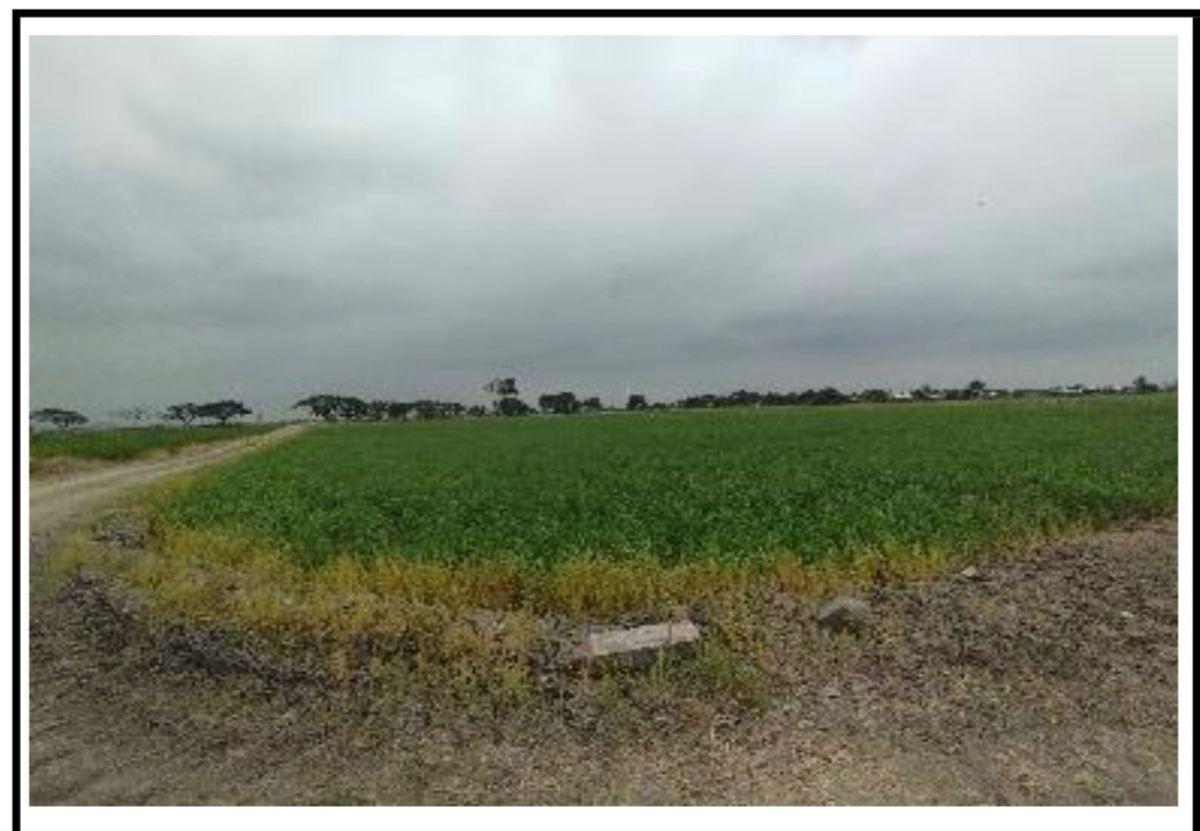 Terreno de 40.000 m² en Venta en Samborondón, Guayas — imagen 3