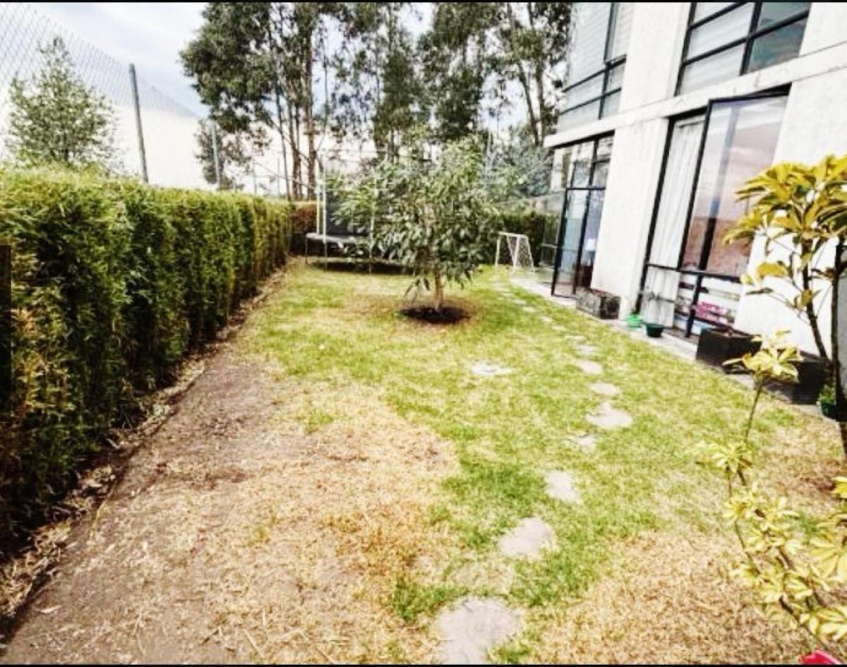 Vendo o Arriendo un Hermoso Departamento en San Patricio de Tres Dorm. — imagen 3