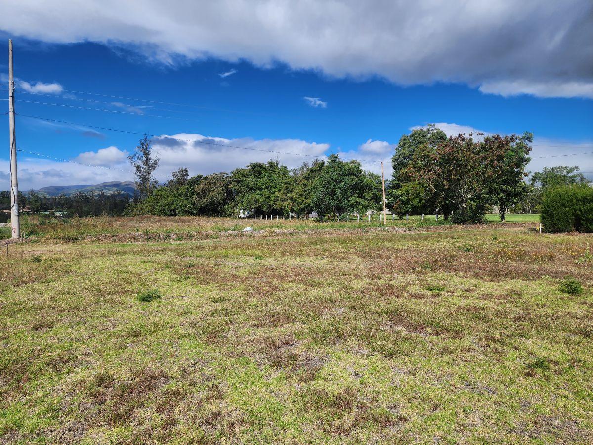 Vendo Hermosos Lotes Desde 500 m Lotizados en Puembo — imagen 5