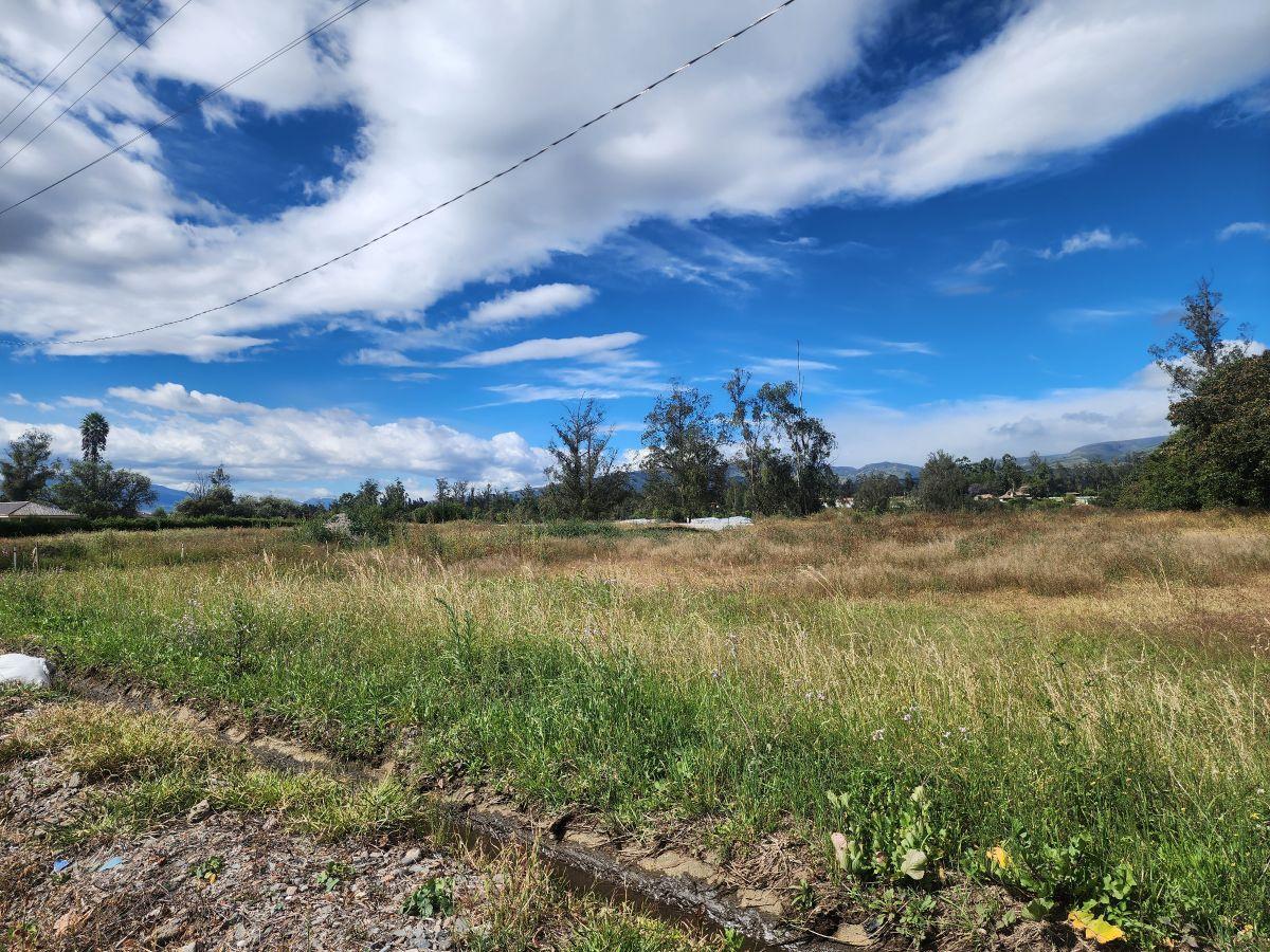 Vendo Hermosos Lotes Desde 500 m Lotizados en Puembo — imagen 4