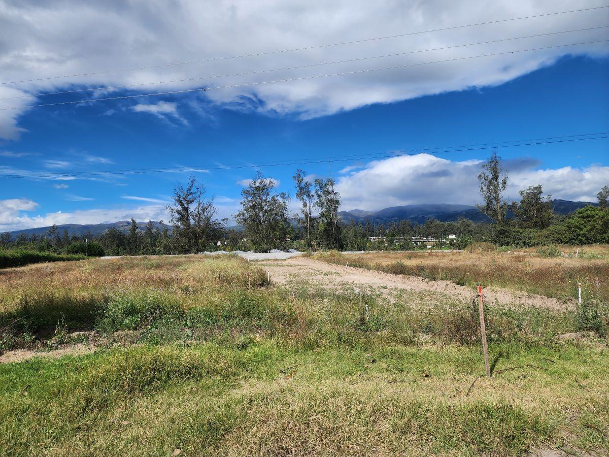 Vendo Hermosos Lotes Desde 500 m Lotizados en Puembo — imagen 3