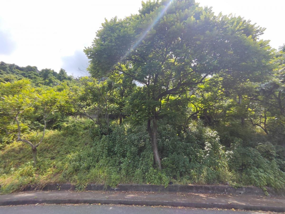 Venta de Amplio Terreno Cdla El Paraiso Norte Gye - Y. Vásquez, Guayas — imagen 5