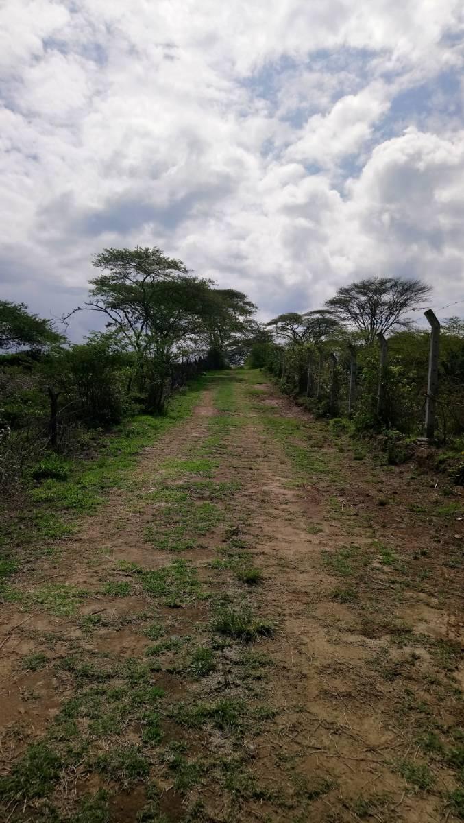 Vendo Terreno 30.000 m en Collaqui — imagen 4