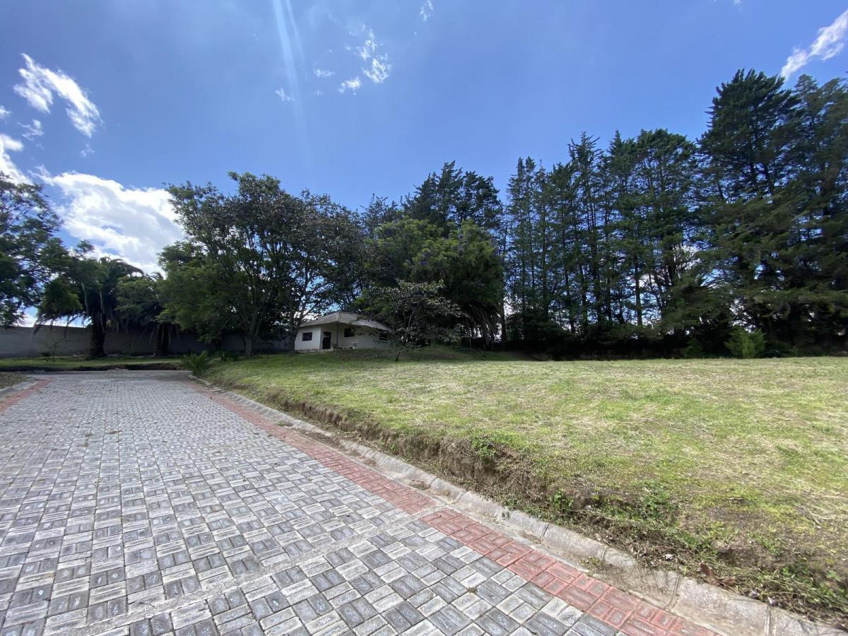 Terreno de Venta Dentro de Urbanización Cerrada y Exclusiva en Puembo — imagen 5