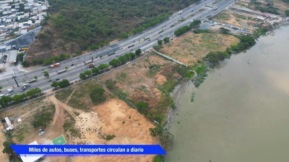 Vendo Terreno de 8.000 m² Excelente Ubicación en La Av Narcisa de Jesús Martillo, Guayas — imagen 4