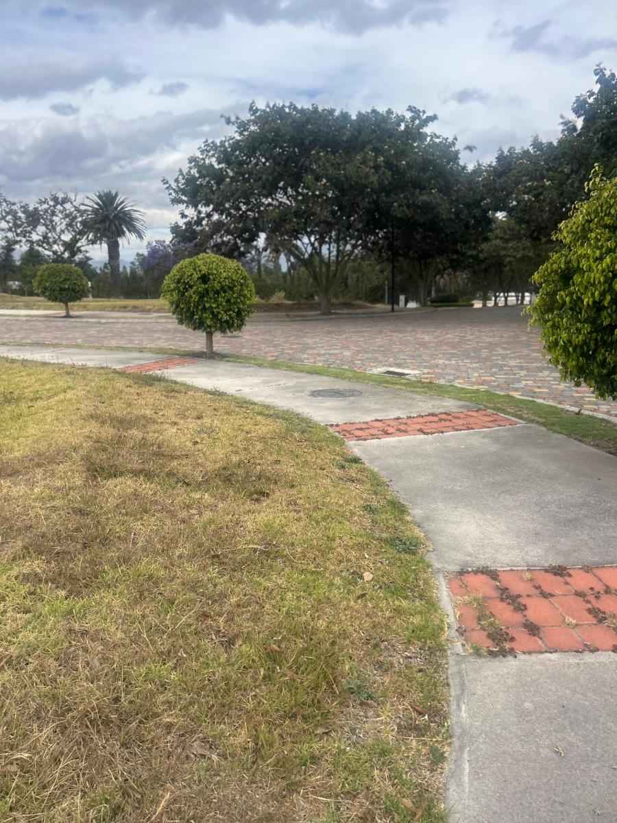 Venta Terreno Urbanización Puembo 1000 m² — imagen 5