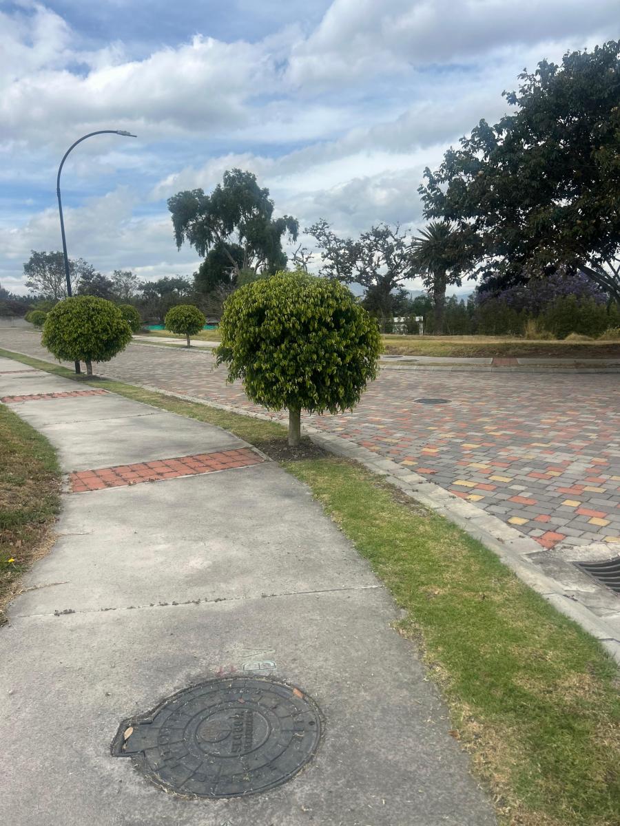 Venta Terreno Urbanización Puembo 1000 m² — imagen 4