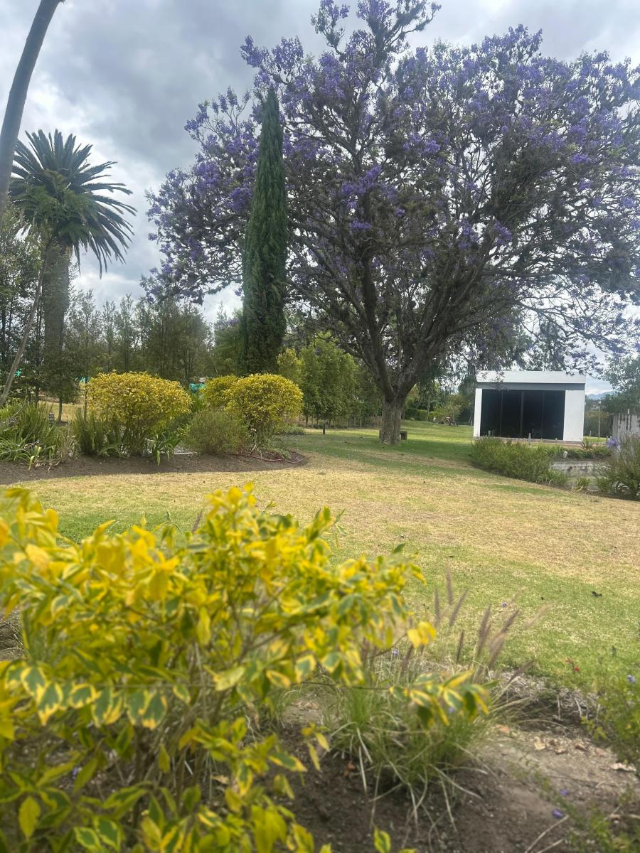 Venta Terreno Urbanización Puembo 1000 m² — imagen 3