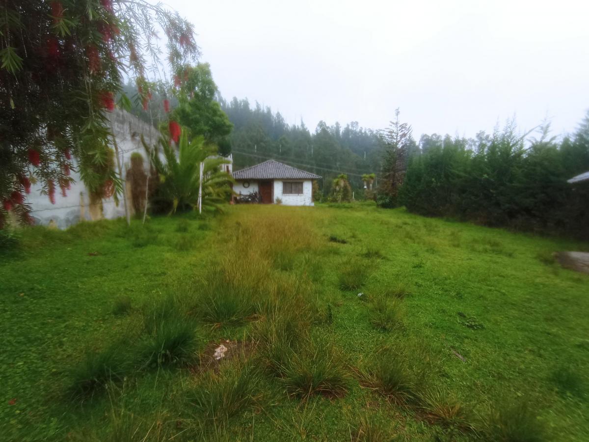 Se Vende Terreno con Todos Los Servicios Basicos y Calle Adoquinada — imagen 5