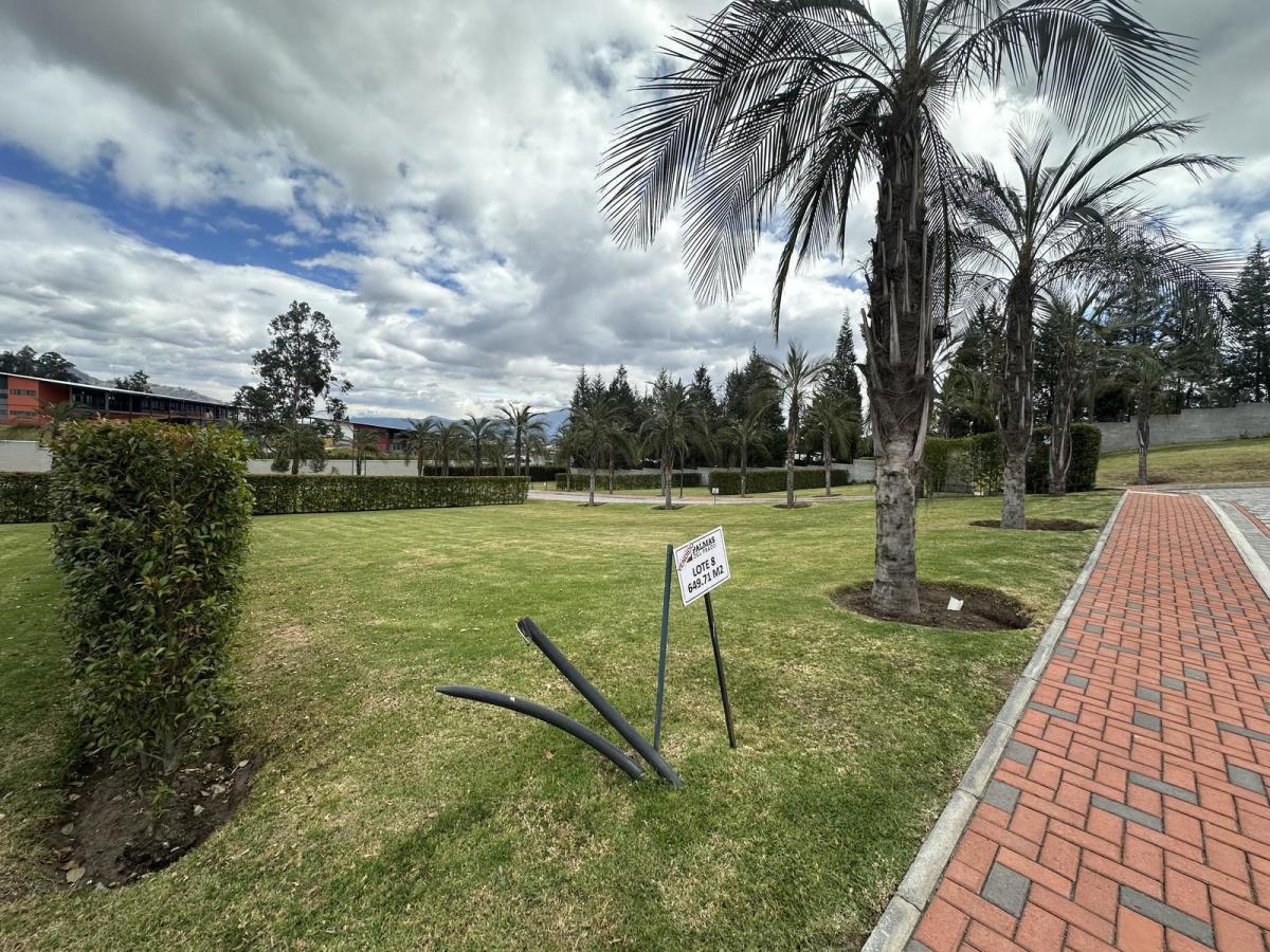 Terreno de Venta en Urbanización en Puembo — imagen 4