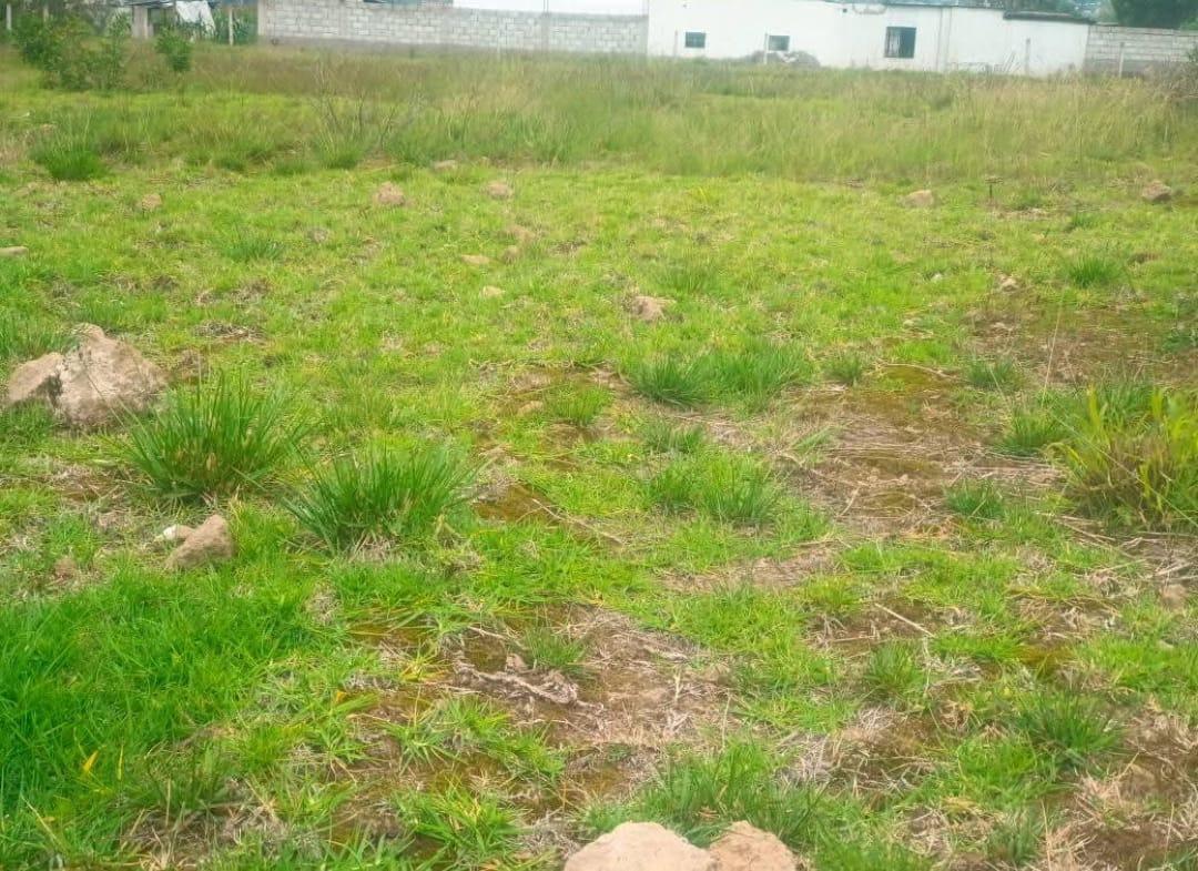 Terreno de Venta Sector Lampata 3500 m², Tungurahua — imagen 4