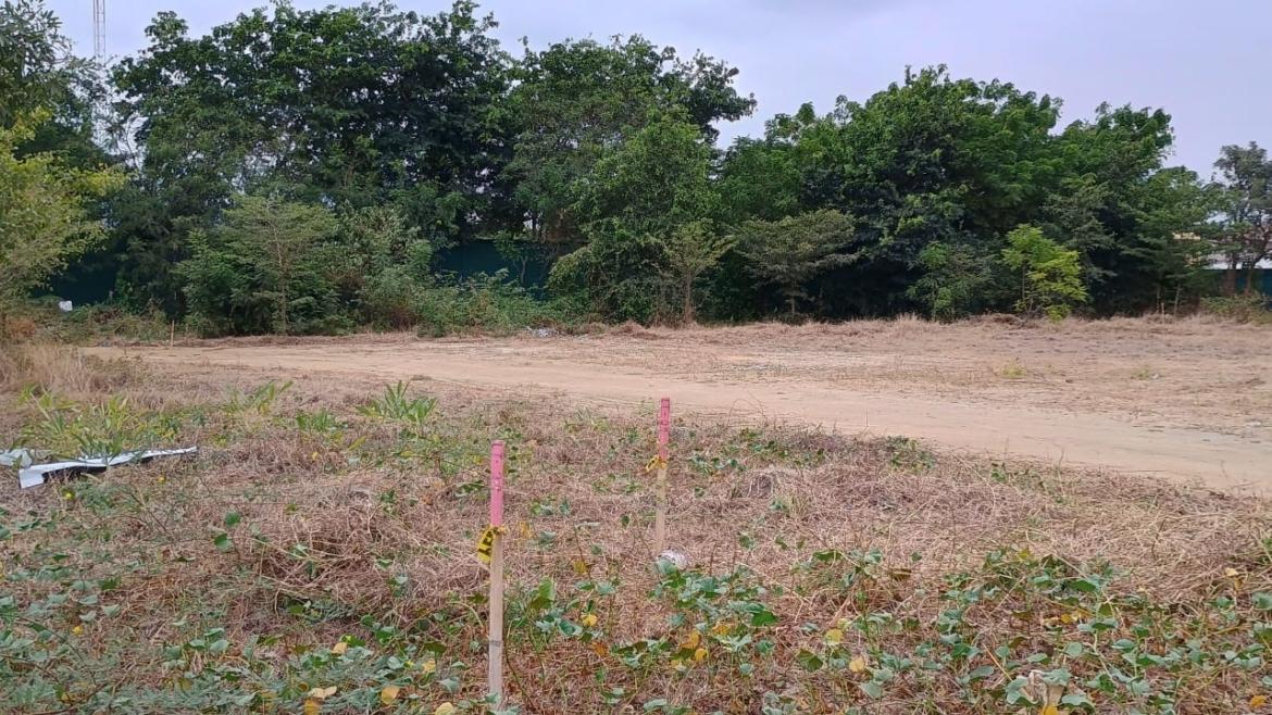 Terreno en Venta, Urbanización La Joya - Etapa Tiara, Guayas — imagen 3