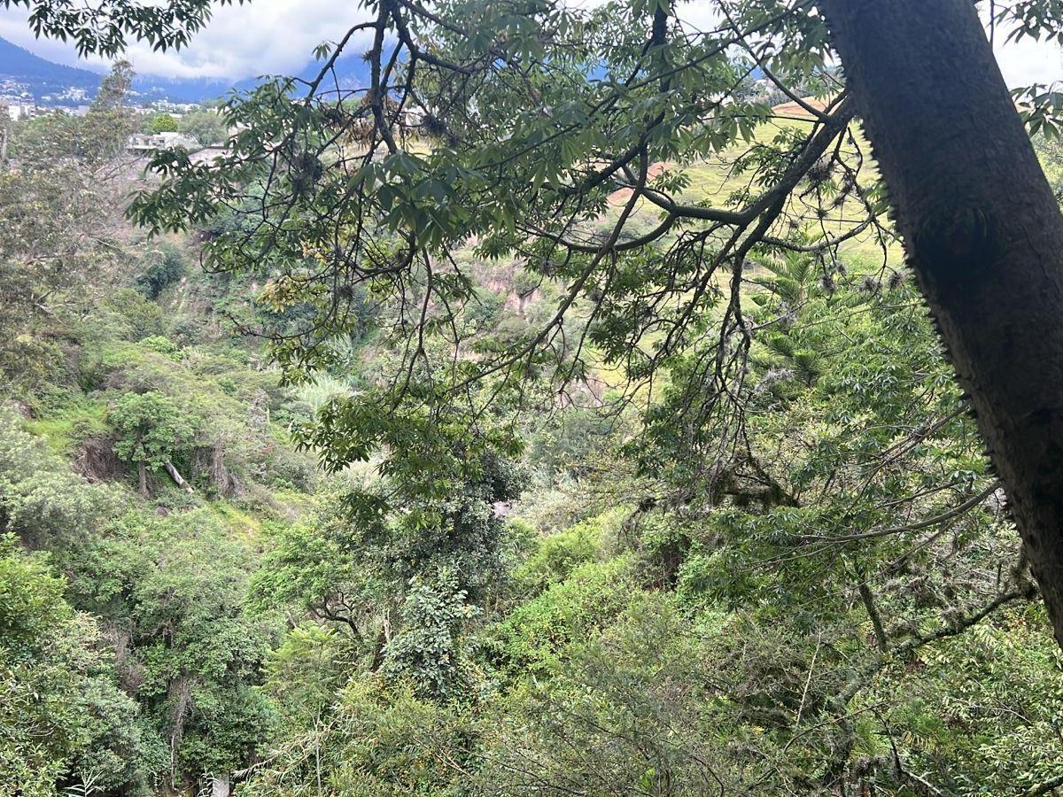 Tumbaco Terreno de Venta Sector La Viña Ideal Para Constructores — imagen 3