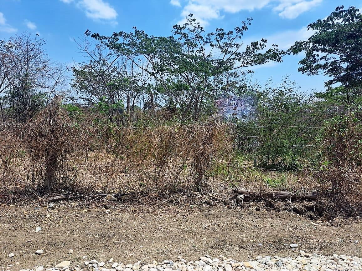 Lotización Tiffany, Lotes en Venta, Excelente Precio, Km. 22 Vía a La Costa, Guayas — imagen 5