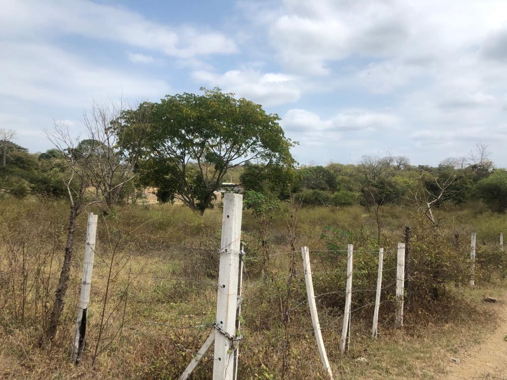 Lotización Tiffany, Lotes en Venta, Excelente Precio, Km. 22 Vía a La Costa, Guayas — imagen 4