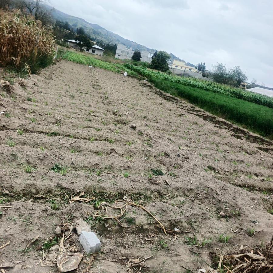 Terreno Plano Sector Martínez, Tungurahua — imagen 5