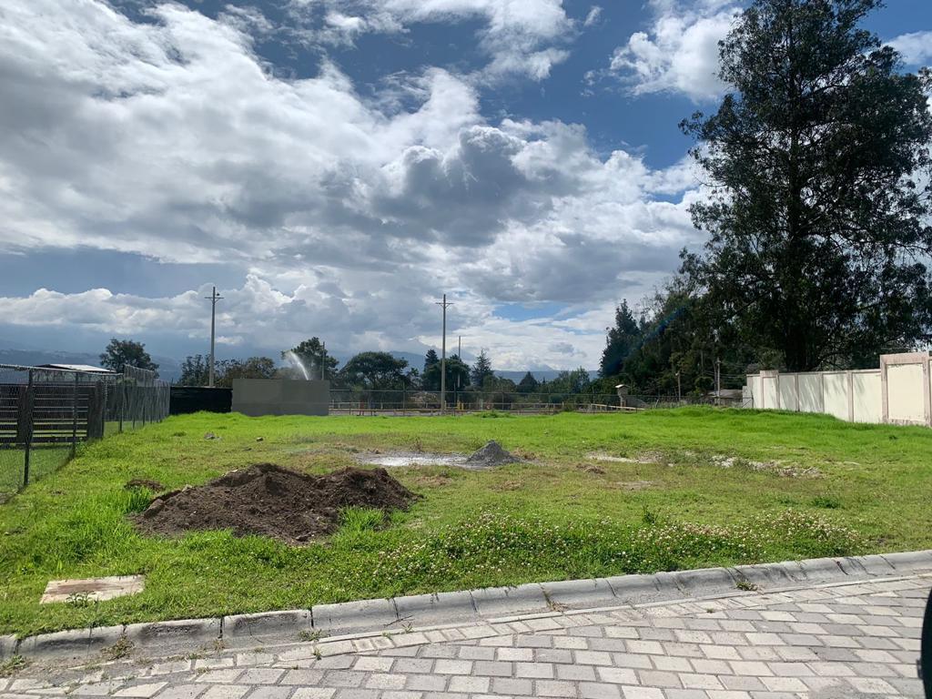 Terreno de Venta en Puembo Sector Colegio Highlands — imagen 4