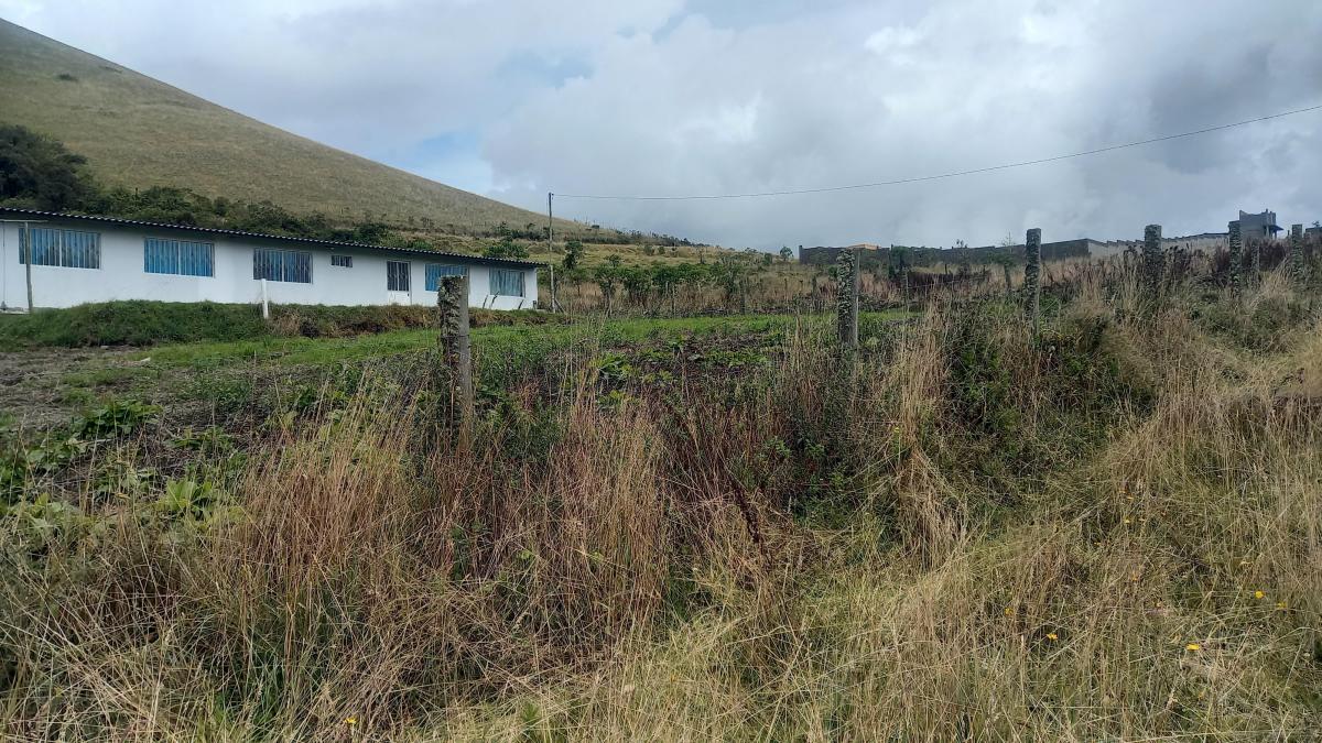 Terreno con Casa en Norte de Quito — imagen 4