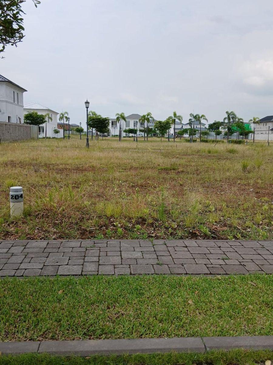 Se Vende Terreno en Aires Norte 255 m², Guayas — imagen 3