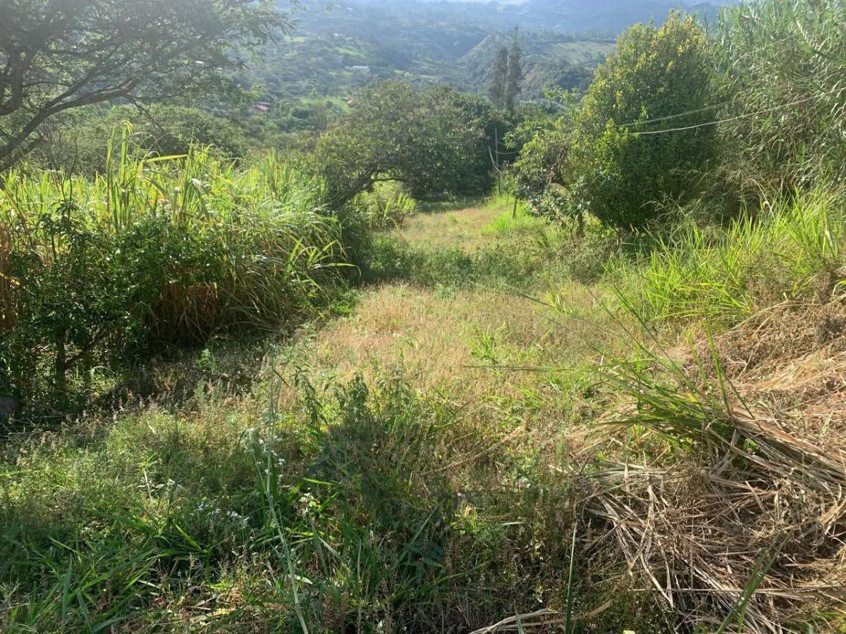 De Oportunidad Terreno en Venta - Honapala - Cuenca, Azuay — imagen 5