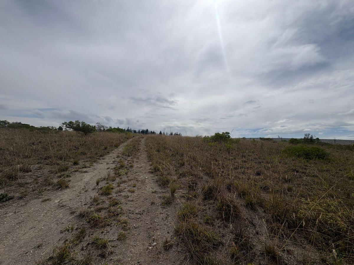 Venta Terreno 4583 m² Sector Malchinguí — imagen 5