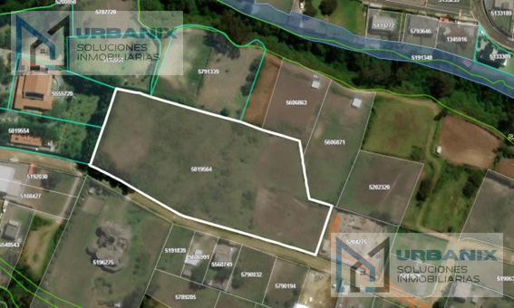 Terreno Para Urbanización Entre Lumbisí y San Patricio. Provincia de Pichincha — imagen 3