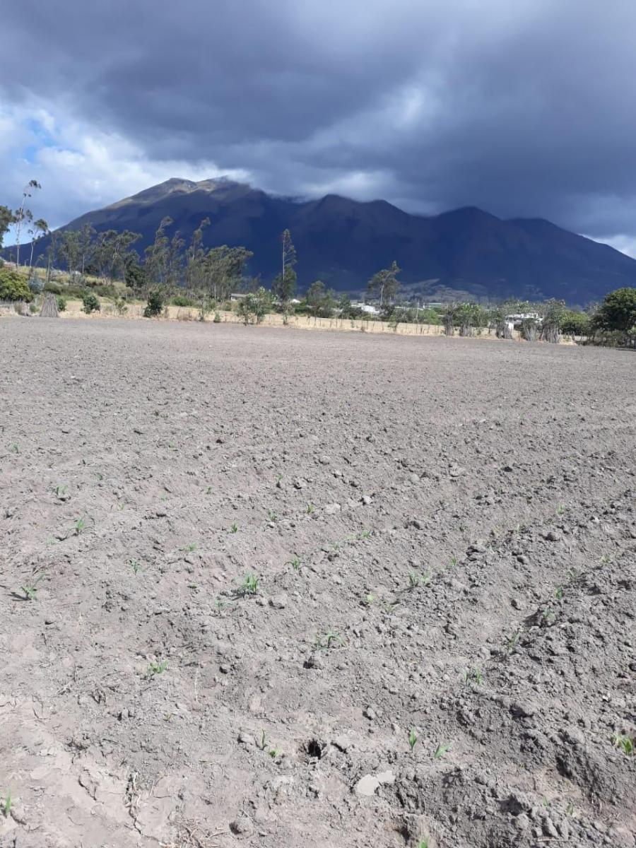De Venta Hectárea de Terreno en Atuntaqui, Imbabura — imagen 4
